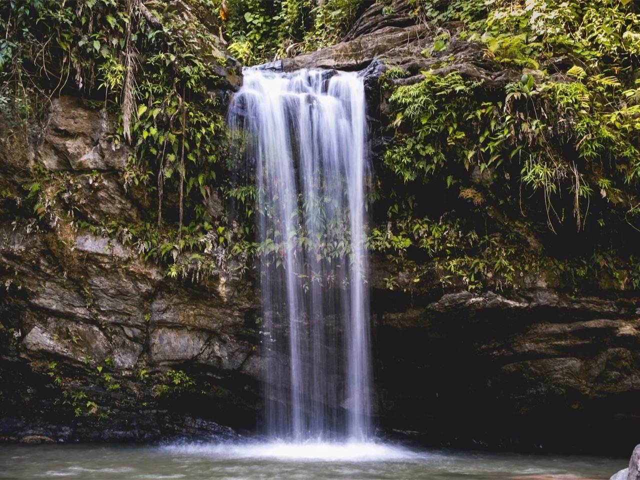 Waterfall in El Yunque National Forest, Puerto Rico