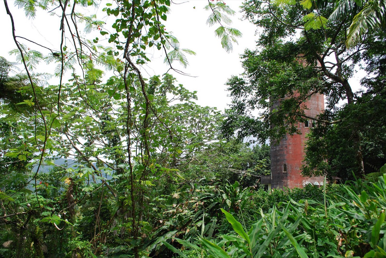 Yokahu observation tower viewed from across the canopy
