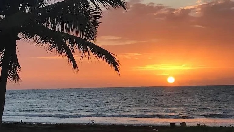 Sunset over the beach with palm tree silhouette
