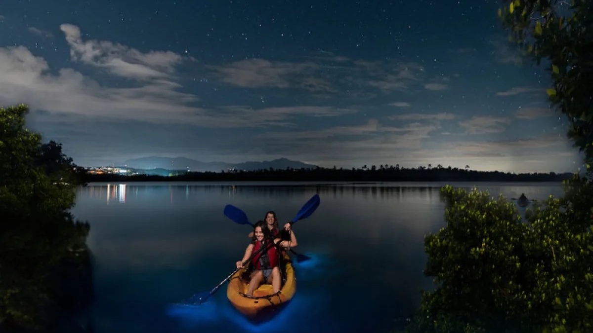 Kayaking in the bioluminescent bay near Fajardo