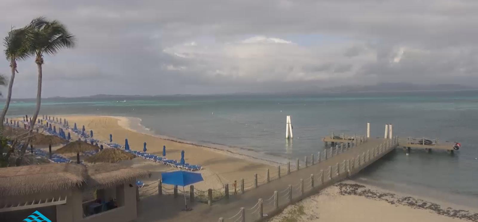 Palomino Island · El Conquistador — live stream still
